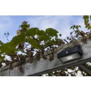 Lutec 6910601335 LED Außenwandleuchte Solar Arrow 1x2W | 5000K | IP44 - mit Bewegungssensor