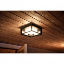 Philips Hue 17438/30/P7 Außenwandleuchte Econic 1X15W | 2200-6500K | RGB | IP44 - White and Color Ambiance