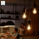 Philips Hue 8718699688882 LED Lampe Filament Globe 1x7W | E27 | 2100K - Bluetooth weiß