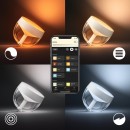 Philips Hue 8719514264526 LED Lampe Iris 4 Generation 1x8,1W | 2000-6500K - Bluetooth, White and Color Ambiance, gold, Limited Edition