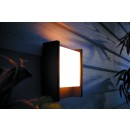 Philips Hue 8719514382824 LED Außen Wandleuchte Fuzo 1x15w | 1160lm | 2700k | IP44 - weiß, Anthrazit