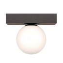 Zuma Line 133867-029048 Deckenleuchte SPHERE G9