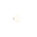 Trio TR27771101 LED Wandleuchte EARL | 1,5W integrierte LED-Quelle