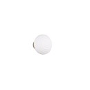 Trio TR27771101 LED Wandleuchte EARL | 1,5W integrierte LED-Quelle
