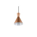 Trio TR30781065 Pendelleuchte ENZO E27