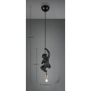 Trio R36551002 Pendelleuchte FIPS | 10W E14