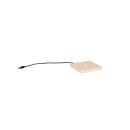 Trio TR54096166 LED Tischlampe FERNANDEZ | 1,5W integrierte LED-Quelle