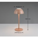 Trio TR54106165 LED Tischlampe RICARDO | 1,7W integrierte LED-Quelle