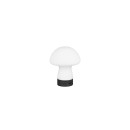 Trio TR54981131 LED Tischlampe DOOLEY | 1,5W integrierte LED-Quelle
