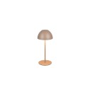 Trio TR55601165 LED Tischlampe ORTIZ | 2W integrierte LED-Quelle