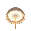 Trio TR55601165 LED Tischlampe ORTIZ | 2W integrierte LED-Quelle