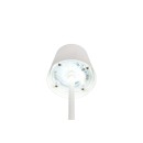 Trio TR55961131 LED Tischlampe DIAZ | 1,6W integrierte LED-Quelle
