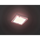 TRIO R62611106 LED Deckenleuchte Slide 1x12W|3000K|RGB