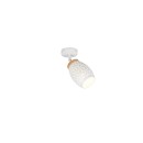 Trio TR81571731 Spot-Wandleuchte BIDAR E14