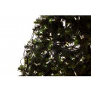 LED Netz 2x2m DRLN1