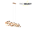 Trio SELECT  T317401079 Pendelleuchte BUBBLE   G9