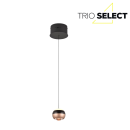 Trio SELECT  T344410132 LED Pendelleuchte ORBIT   | 8W integrierte LED-Quelle | 960lm | 2300+3000+4000K