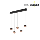 Trio SELECT  T344410532 LED Pendelleuchte ORBIT   | 5x8W integrierte LED-Quelle | 5x960lm | 2300+3000+4000K