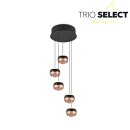 Trio SELECT  T344430532 LED Pendelleuchte ORBIT   | 5x8W integrierte LED-Quelle | 5x960lm | 2300+3000+4000K