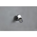 Trio T804370134 Spot-Wandleuchte TOSH E14