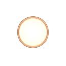 Trio Reality TR64391080 LED Deckenleuchte FELIS | 24W integrierte LED-Quelle | 2500lm | 2700-6500K