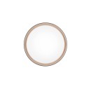 Trio Reality TR64391080 LED Deckenleuchte FELIS | 24W integrierte LED-Quelle | 2500lm | 2700-6500K