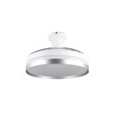 Trio Reality TR67382187 LED Ventilator mit Licht LINDBERG  | 35W integrierte LED-Quelle | 4050lm