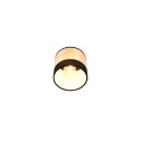 Trio Reality TR81661732 Spot-Wandleuchte BOLZANO E14