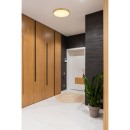 Globo 12381-22 LED Deckenleuchte TIBEY  | 22W integrierte LED-Quelle | 1800lm | 3000K