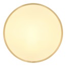 Globo 12381-22 LED Deckenleuchte TIBEY  | 22W integrierte LED-Quelle | 1800lm | 3000K
