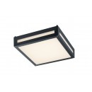 TRIO 620060142 Newa Außenleuchte SMD 1x13W 1000L 3000K IP54