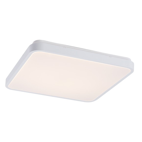 Rabalux 98071423 LED Außen-Deckenleuchte Alenzo  | 36W integrierte LED-Quelle | 2350lm | 3000+4000+6500K