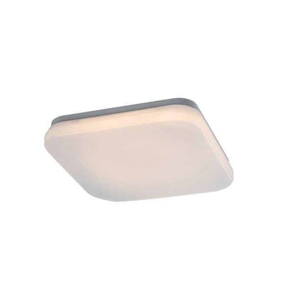 Rabalux 98077134 LED Außen-Deckenleuchte Lowar  | 12W integrierte LED-Quelle | 750lm | 3000+4000+6500K