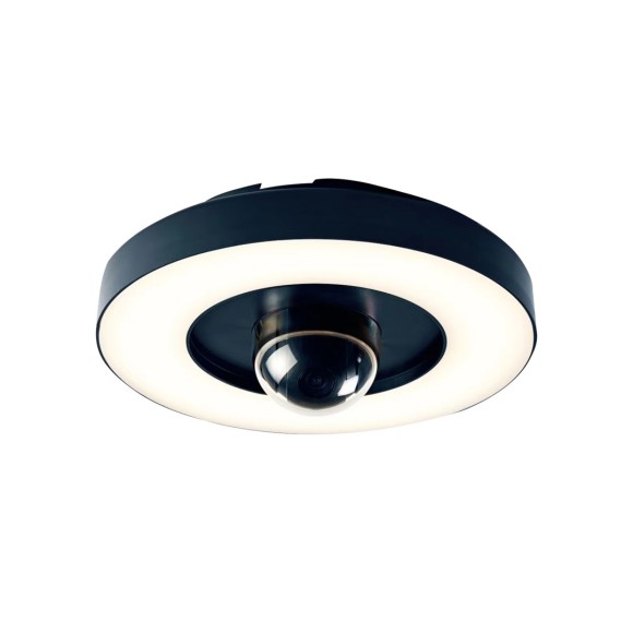 Immax NEO LITE 07792L LED smartes Zubehör Security  integrierte LED-Quelle