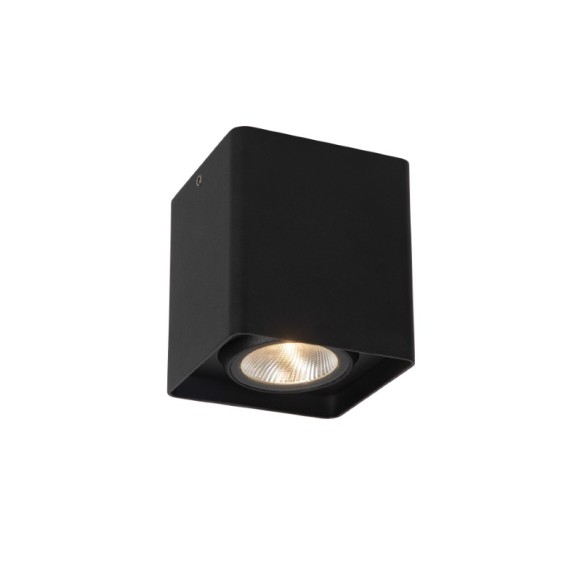 Lucide L288010730 LED Außen-Deckenleuchte LEEDS | 9W integrierte LED-Quelle | 650lm | 2700K
