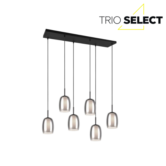 Trio SELECT  T317500654 Pendelleuchte BARRET   E14
