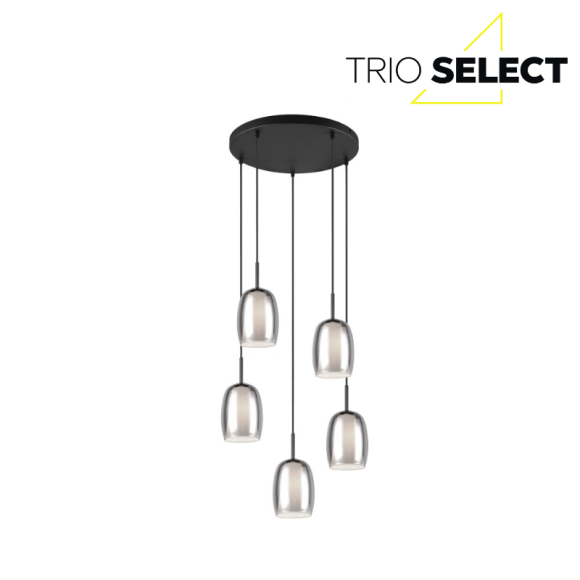 Trio SELECT  T317530554 Pendelleuchte BARRET   E14