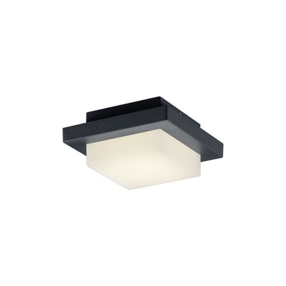 TRIO 228960142 Hondo Außenwandleuchte SMD 1x4W 330lm 3000K IP54