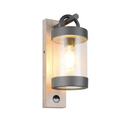 Trio T204169135 Außenwandleuchte SAMBESI E27