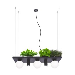 Zuma Line 003749-025970 Pendel-Kronleuchter SHELF E14