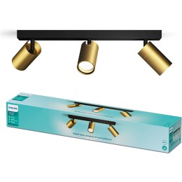 Philips 8720169299214 Spot-Deckenleuchte Idris  GU10