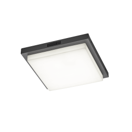 Trio T630369242 LED Deckenleuchte BERMEJO  | 14W integrierte LED-Quelle | 1x1450lm | 2300+3000+4000K