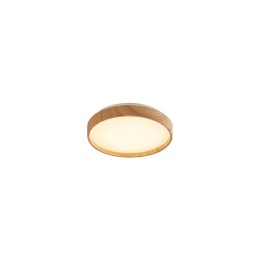 Rabalux 98071143 LED Deckenleuchte LEANA2 | 12W integrierte LED-Quelle | 730lm | 3000K