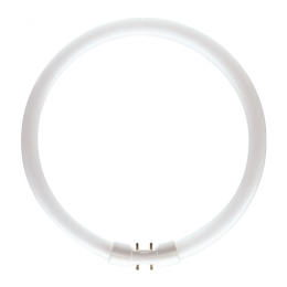 Philips 10137505 Rundrohr Master 1x40W | 2GX13 | 3000K