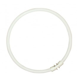 0000528 SYLVANIA Circline Plus T5 2GX13 55W = 4200lm 4000K